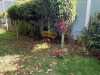 IMG-20240425-WA0021