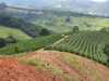 IMG-20260520-WA0090