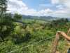 IMG-20260520-WA0092