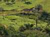 IMG-20260520-WA0097