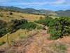 IMG-20260520-WA0098
