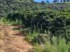IMG-20260520-WA0100