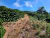 IMG-20260520-WA0101