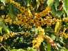 IMG-20260520-WA0103