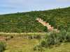 IMG-20260520-WA0104