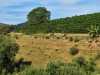 IMG-20260520-WA0105