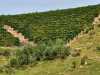 IMG-20260520-WA0108