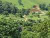 IMG-20260520-WA0111
