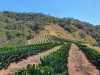 IMG-20260520-WA0119
