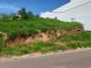 IMG-20241127-WA0066
