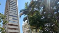 Aluga-se Apartamento na Av. Rio Branco, 155, Centro Edifício Sadallo Andere 3 suítes; Closet; Sala de estar; Sala de tv; Sala de jantar; Cozinha planejada; Banheiro social; Lavabo; Lavanderia; Dispensa; […]