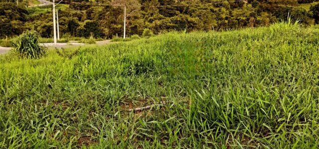 Rua Massako kawaguti, S/N – Terra nobreÁrea: 200 m2Terreno 10×20 Valor: R$ 84.000,00CRECI 19.433F