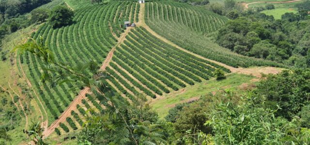 À VENDA 🔶️ Fazenda Santa Marina 🔶️ Município de São Gonçalo do Sapucaí MG Distrito de Ribeiros ✅️ Área total 25 alqueires (62 hectares); 🤝 Documentação ok; ☕️ 55 mil [&hellip;]